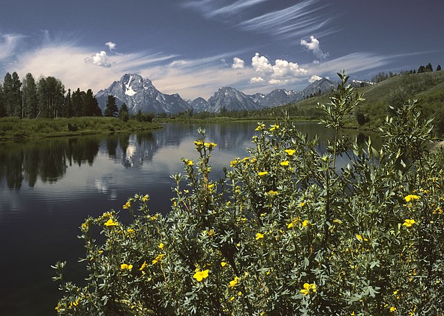 File:Oxbow_Bend_outlook_in_the_Grand_Teton_National_Park.jpg