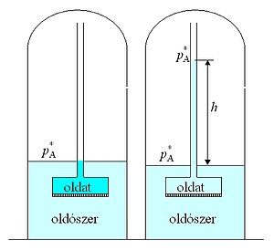 ozmotikus hipertónia