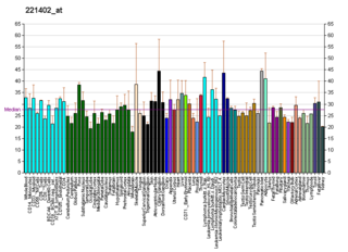 OR1F1 Protein-coding gene in the species Homo sapiens