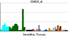 PBB GE PURA 204020 ĉe tn.png