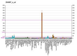 PBB GE SLC5A6 204087 с at fs.png