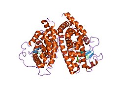 PDB 1k74 EBI.jpg