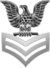 Petty Officer First Class (PO1)