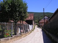 Pača