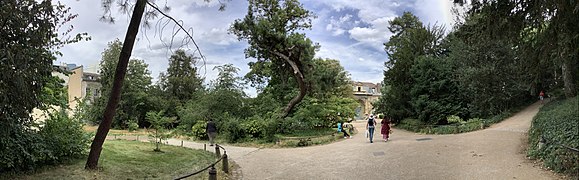 Panorama at the Jardin des Plantes - Trees over a Path.jpg