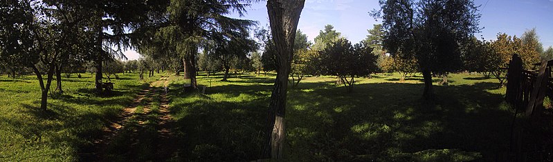 File:Panorama sopra - panoramio.jpg