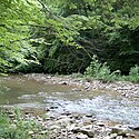 Миниизображение на Panther Creek в зоните за управление на дивата природа на Panther