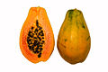 Papaya cross section BNC.jpg