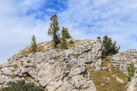 Città dei Sassi Sella Pass South Tyrol