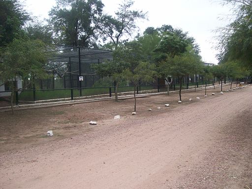 Path in Saenz Peña's Zoo