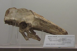 <i>Orientornis</i> Extinct species of bird