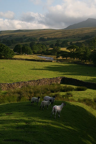 File:Pendragon Castle Cumbria 01.JPG