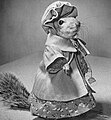 Tommy Tucker, uno scoiattolo addomesticato di Washington, un roditore rinomato per intrattenere i bambini, visitare gli ospedali e sostenere lo sforzo bellico vendendo titoli di guerra, 31/1/1944