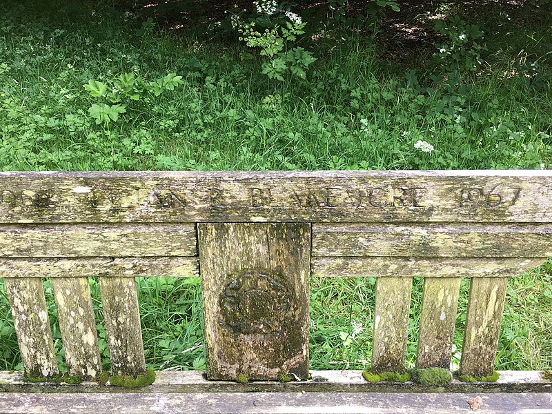 File:Photograph of a bench (OpenBenches 575).jpg