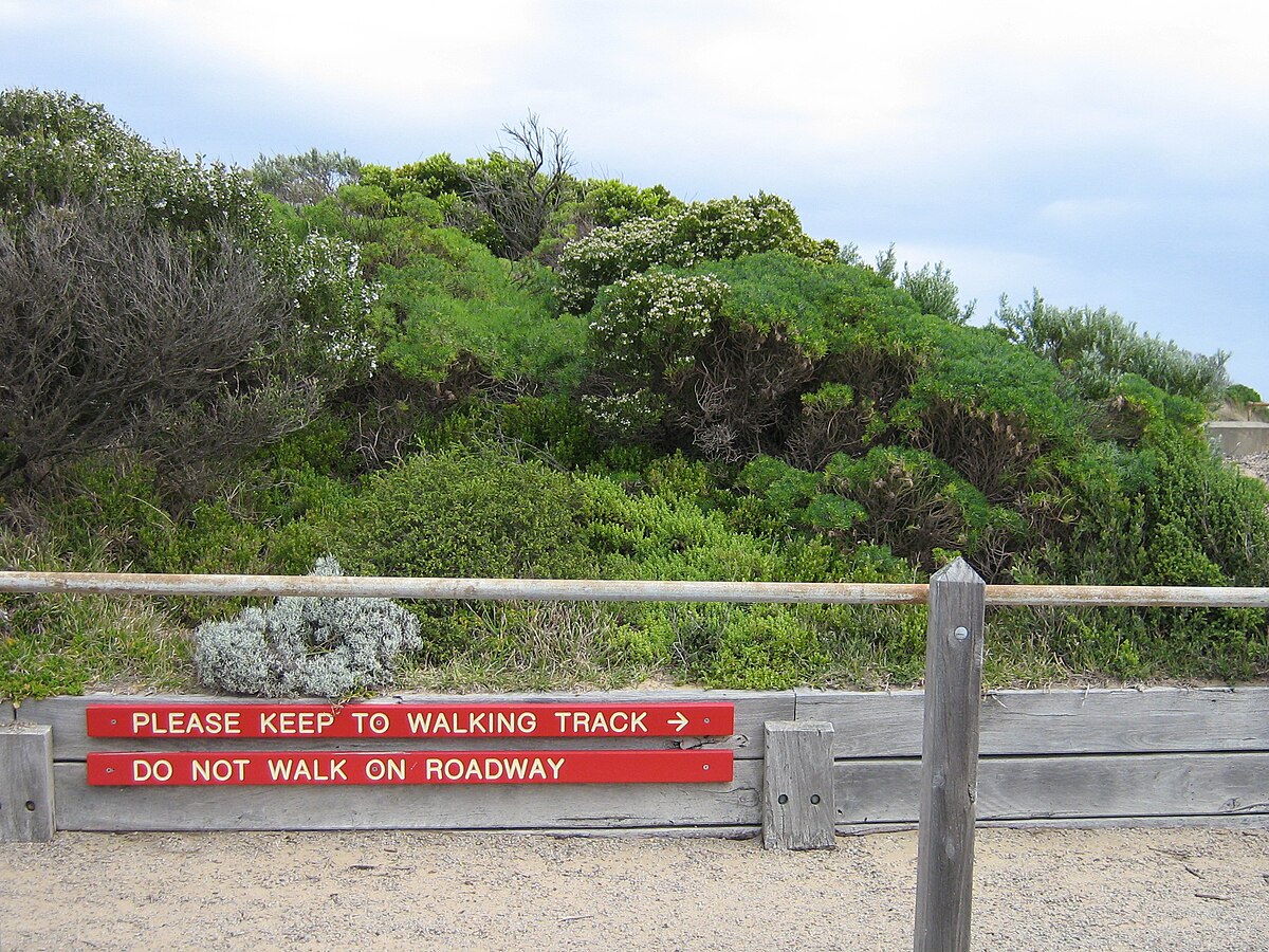 Точка в тропе. Point Nepean National Park.