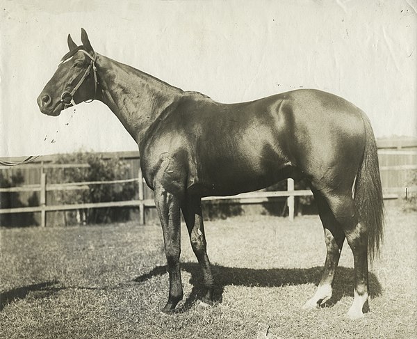 1906 & 1907 winner – Poseidon