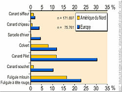 Comparaison du taux d'oiseaux ayant ingéré de la grenaille de plomb chez quelques espèces d'oiseaux d'eau chassés (sauvagine) en Amérique du Nord (n = 171.697) et en Europe (n = 75.761). En raison d'une chasse plus intensive rapportée au nombre d'hectares de zones humides et d'une interdiction du plomb de chasse beaucoup plus tardive dans les zones humides, la prévalence de l'ingestion de plomb, et le saturnisme des oiseaux d'eau sont beaucoup plus fréquents en Europe. Le Canard pilet est l'une des espèces les plus touchées. Le saturnisme aviaire peut affecter la dynamique de population à long terme, et les consommateurs humains de cet « oiseau d'eau »[4]