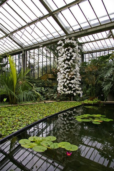 File:Princess of Wales Conservatory, Kew Gardens, Surrey - geograph.org.uk - 1182910.jpg