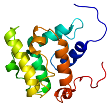 Protein VAV3 PDB 2d86.png