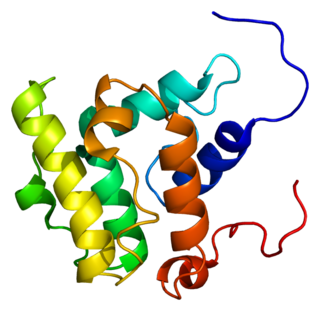 <span class="mw-page-title-main">VAV3</span> Protein-coding gene in the species Homo sapiens