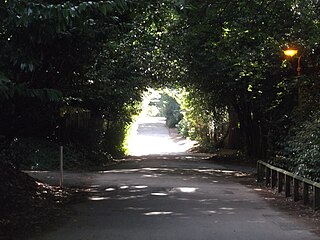 <span class="mw-page-title-main">Pullens Lane</span> Road in Headington, east Oxford, England