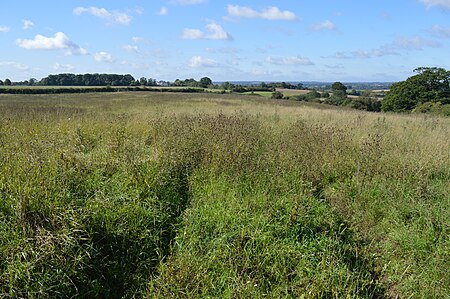 Pulloxhill Marsh 4