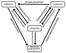 Theoretical model of the social agents which influence relative age effect. RAE Image.jpg