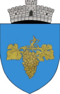 Jidvei Coat of Arms