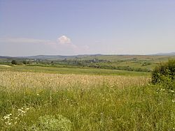 Skyline of Плеска