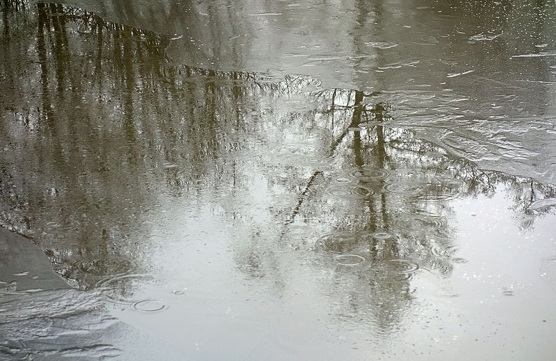 File:Rain and reflections on ice 1.jpg