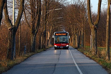 Raphael-Donner-Allee