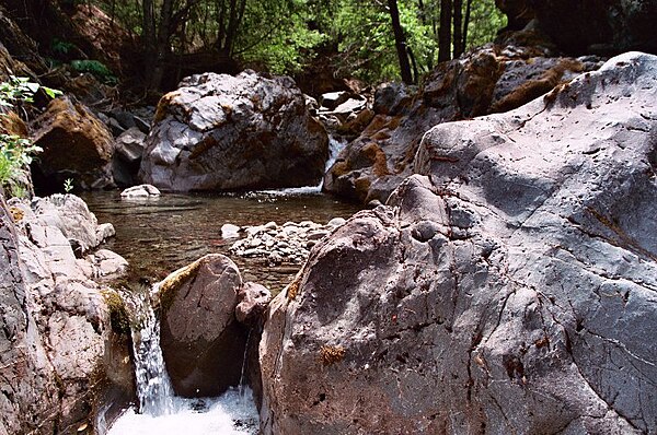 Rattlesnake Creek