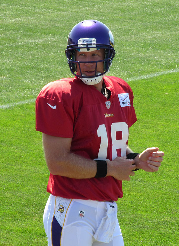 Rosenfels with the Minnesota Vikings