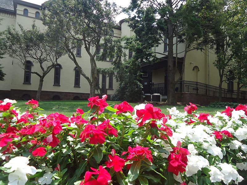 File:Rutgers University College Avenue campus flowers on main campus.jpg