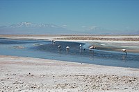 Salar de Atacama with Pular (leftmost), Cerro Pajonales (left) and Socompa (right) in the distance. The 1899 border runs through Socompa. Salar de Atacama Pular.jpg