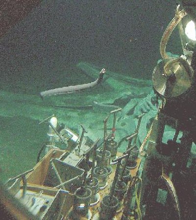 The skeleton of a gray whale lies on the Santa Cruz Basin seafloor as a hagfish swims into view of the US Navy's deep-sea submersible Alvin.