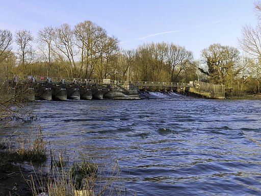 Sandford Lasher by Sandford Pool (geograph 6799579)