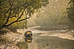 Thumbnail for Sundarbans