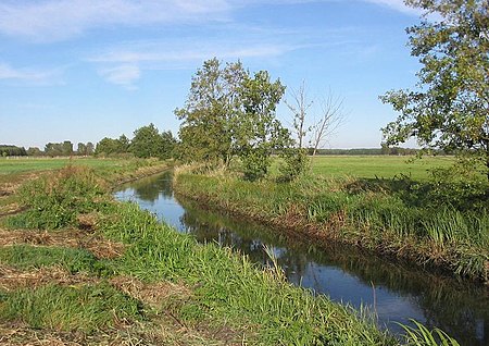 Schaepe1 Neuer Graben