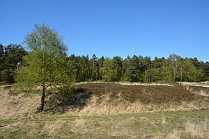 Schleswig-Holstein, Gudendorf, Landschaftsschutzgebiet NIK 5894.jpg