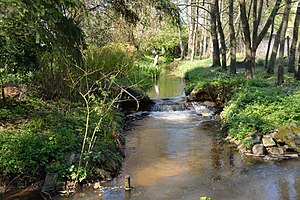 Schleswig-Holstein, Neumünster, Stör NIK 9674.JPG