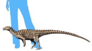 Scutellosaurus lawleri NT.png