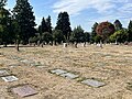 * Nomination: Calvary Cemetery (Seattle) --Another Believer 13:49, 5 September 2023 (UTC) * * Review needed