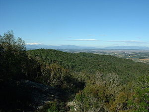Serra de Cals.jpg