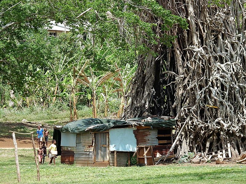 File:Shed Beneath Roots (23190587894).jpg