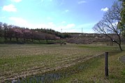 芝山水辺の里