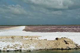 Solar Salt Plant Bonaire (NA).jpg