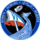 SpaceX Crew-6 logo.png