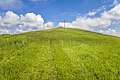 * Nomination Summit of the "Spitzberg" hill near Limbach (natural monument) --Plozessor 03:54, 2 June 2024 (UTC) * Promotion  Support Good quality. --XRay 04:06, 2 June 2024 (UTC)