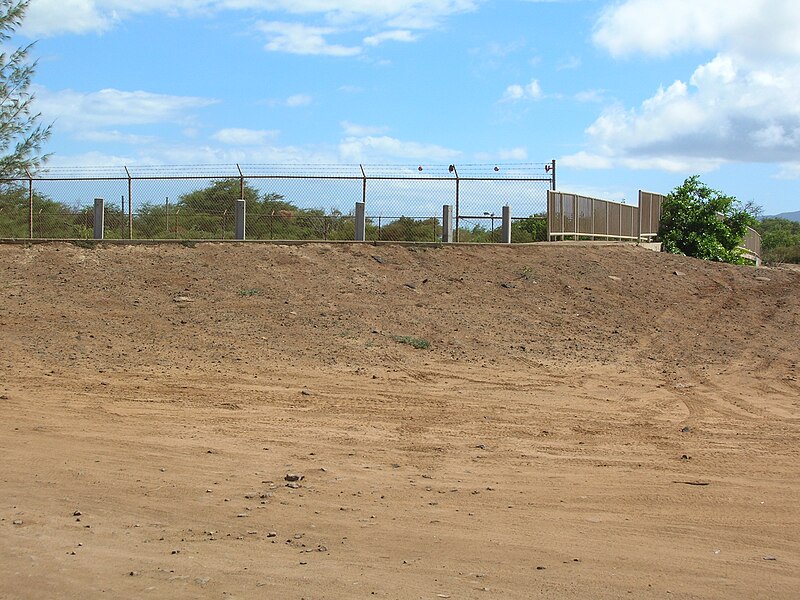 File:Starr 050716-2730 Ficus microcarpa.jpg